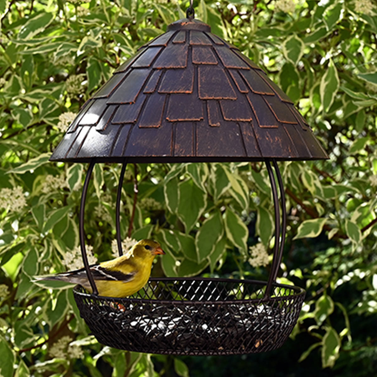 Shingled Sheltered Platform Feeder with metal roof and mesh basket, housing a goldfinch. Ideal for diverse bird attraction and easy maintenance.