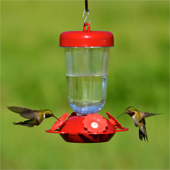 Perky's Finest Plastic Top Fill Feeder with 4 feeding stations, showing hummingbirds drinking from its lifelike red and white ports.