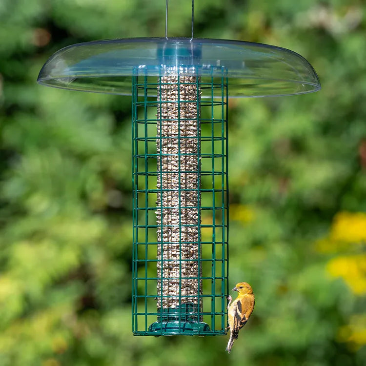 Bird feeder with seeds hanging in a garden