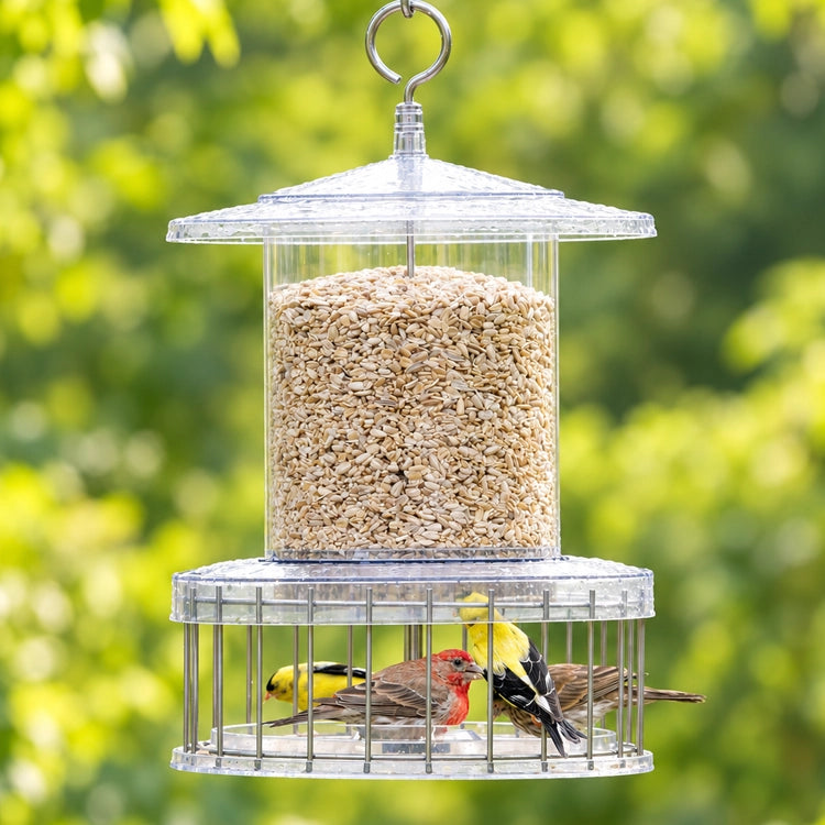 All Weather Feeder with Wire Cage, showing birds feeding from a weatherproof, squirrel-proof feeder with protected seed ports and a circular baffle for easy bird access.