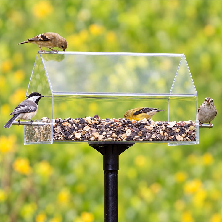 Duncraft Pole Mount Chalet feeder with clear cover, birds perched inside and on sides, includes a sectional pole for easy setup and viewing.