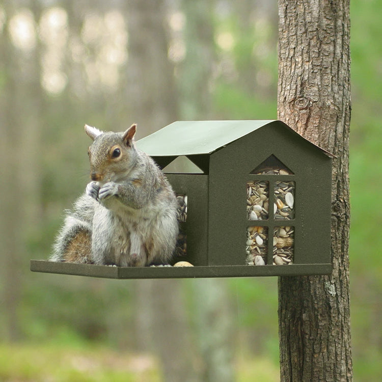 Metal Squirrel Feeder with squirrel lifting roof to access food, featuring a built-in porch area, post-mount, and rear-mount options.