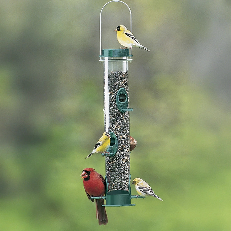 Duncraft Original Tube Feeder filled with seeds, featuring a red male Northern Cardinal and American Goldfinches feeding. Durable, chew-proof design with six metal ports.