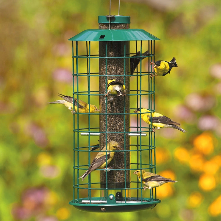 Green bird feeder with birds perched on it against a blurred natural background