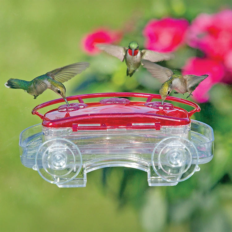 Aspects Jewel Box Hummingbird Feeder with red lid, mounted by window, three hummingbirds feeding. Features raised perch, three ports, and clear ant moat.