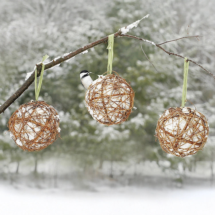 Grapevine Globes, Set of 3, hang from a snow-covered branch, each filled with suet, featuring a chickadee perched on the middle globe.