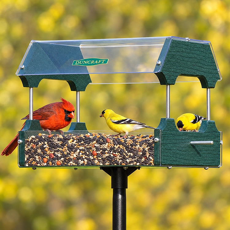 Duncraft Eco-Strong Platform Feeder & Pole with birds feeding, featuring clearview plastic roof and floor, green recycled plastic sides, and a sectional mounting pole.