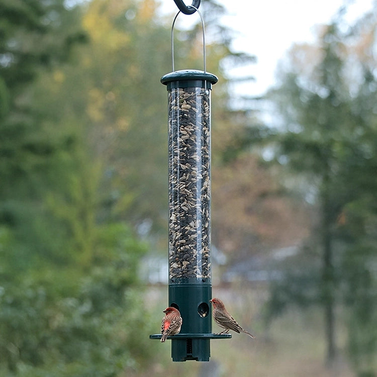 Mini Magnet Squirrel Resistant Bird Feeder