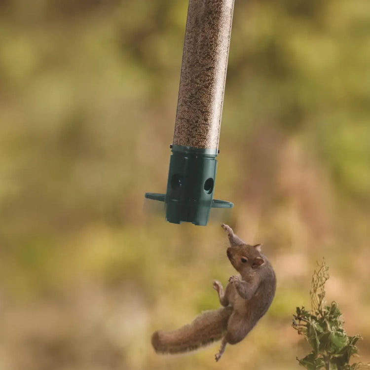 Mini Magnet Squirrel Resistant Bird Feeder