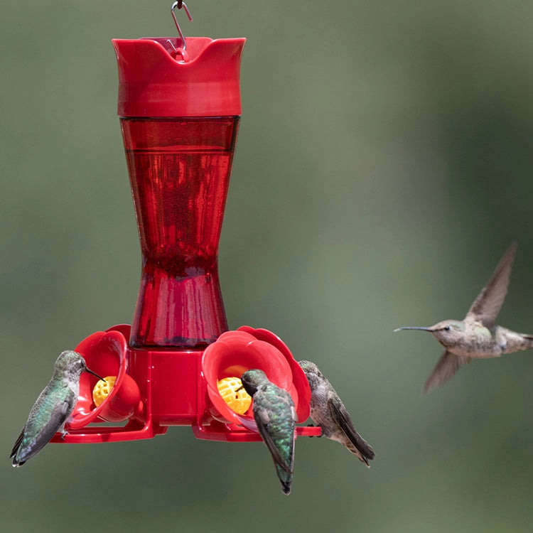 Pinch Waist Hummingbird Feeder with four feeding stations, surrounded by hummingbirds, featuring built-in ant moat and bee guards, easy to clean and refill.