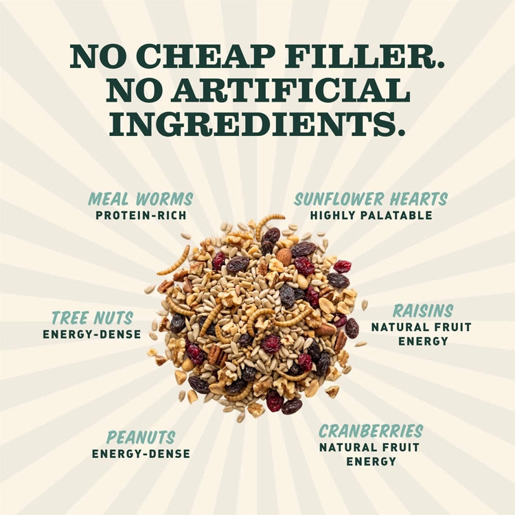 No cheap filler. No artificial ingredients. Bird food blend with protein-rich mealworms, sunflower hearts, energy-dense tree nuts and peanuts, and raisins and cranberries for natural fruit energy.