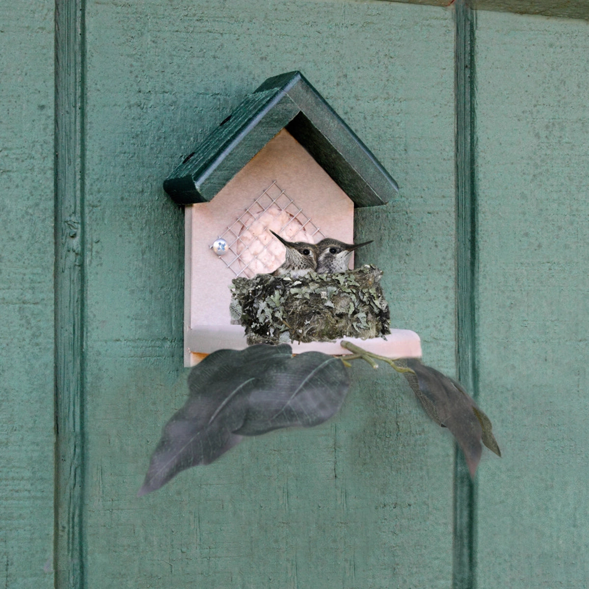 Duncraft Original Hummingbird Nester on wall with two baby hummingbirds in the nest, featuring a landing branch and secure metal posts for nest stability.
