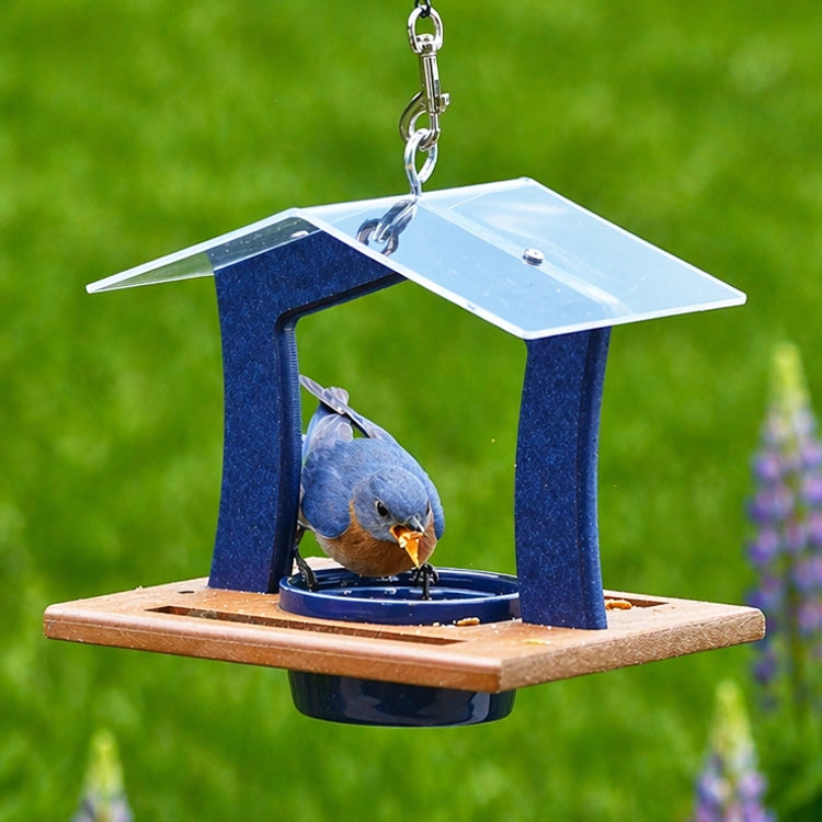 Duncraft Elegant Bluebird Feeder with metal roof and wooden tray, featuring a bluebird eating from a 7 oz. dish, ideal for compact outdoor spaces.