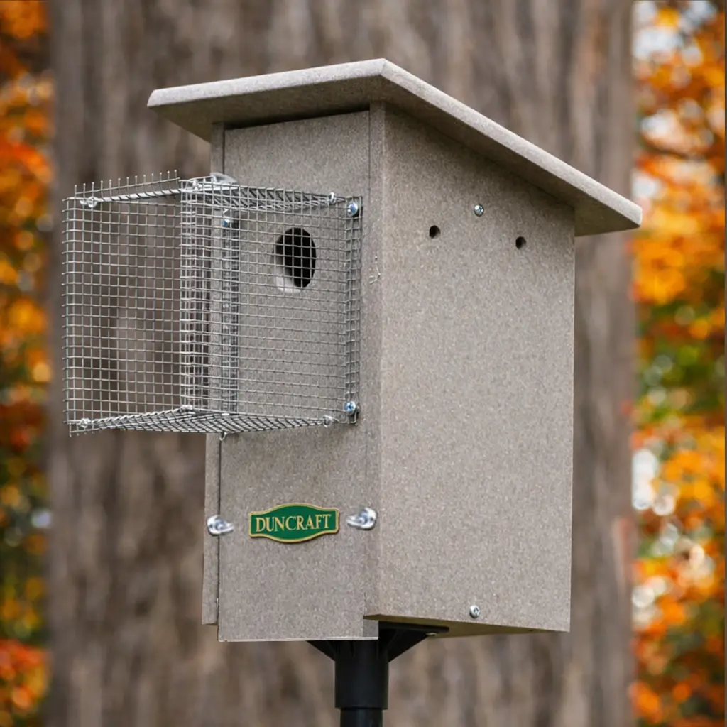 Angled side view of a beige birdhouse showing the wire predator guard extending outward from the entrance, with a bluebird perched on top and fall colors behind.
