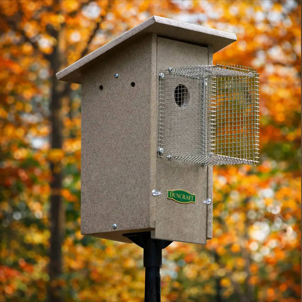 Three-quarter view of the birdhouse highlighting the depth of the wire predator guard and the sturdy construction, with a bluebird on the roof and autumn trees softly blurred in the background.