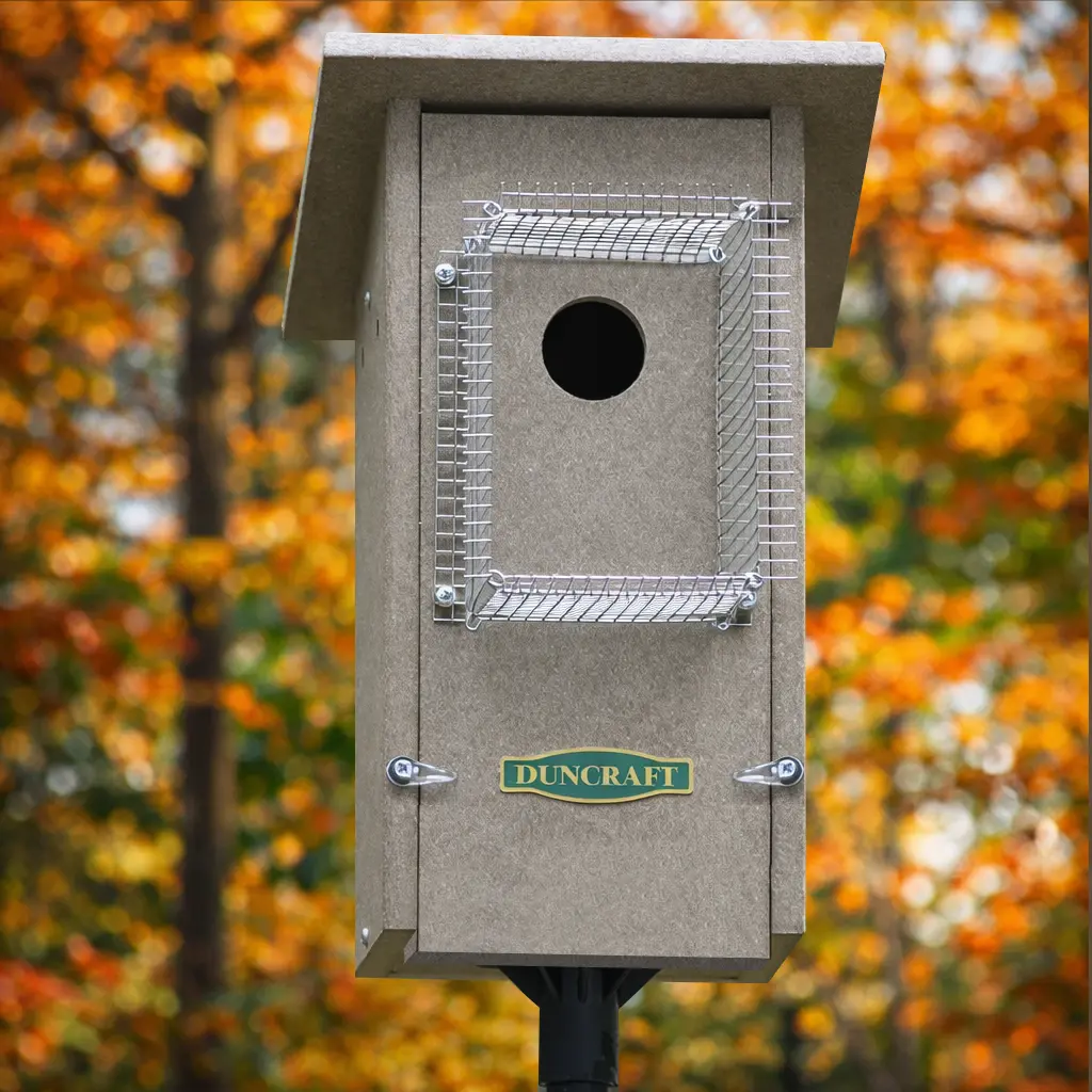 Close-up front view of the birdhouse entrance with the wire predator guard clearly visible, mounted on a pole, with a bluebird perched above and warm fall foliage in the background.