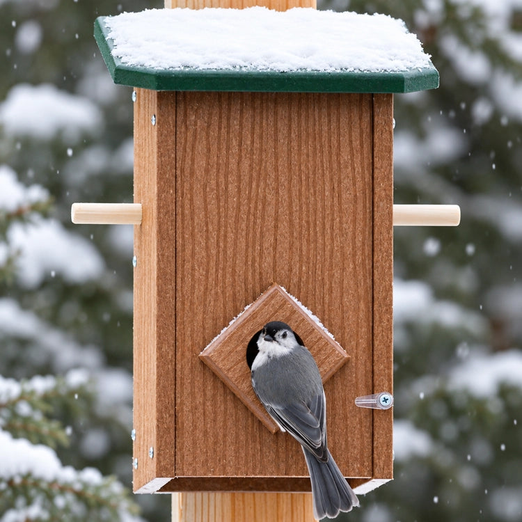Duncraft Winter Roost with Lookout Perches, featuring a snowy roof, small bird at the entry, and a ladder for multiple birds to perch together.