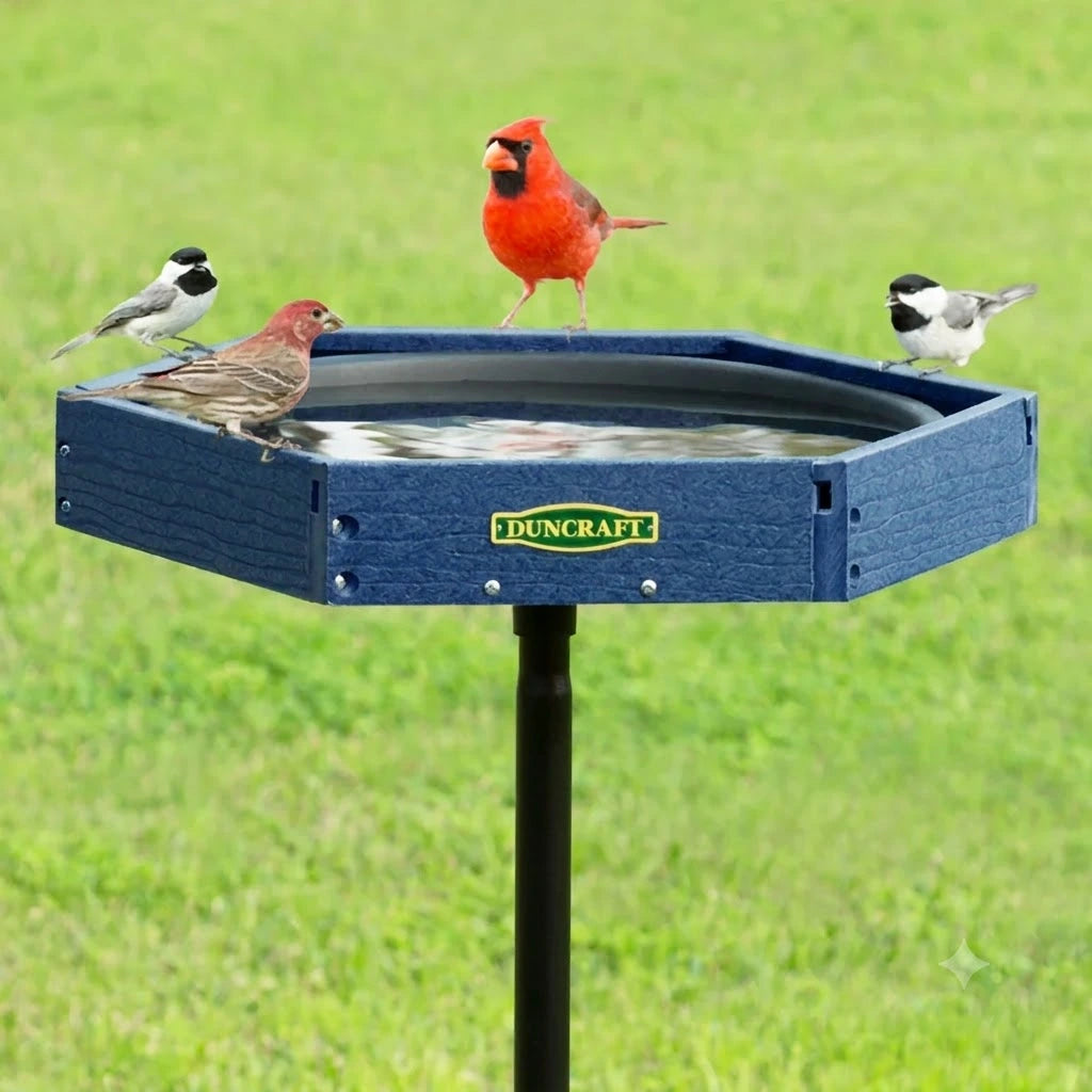 Durable blue recycled-plastic pedestal bird bath with a wide hexagonal basin. Multiple backyard birds, including a cardinal, finch, and chickadees, gather on the rim while one bird bathes in the shallow water.