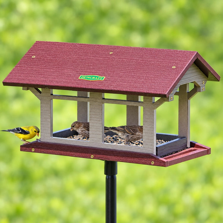 Angled view of a Duncraft covered platform feeder with house finches and a bright yellow goldfinch.