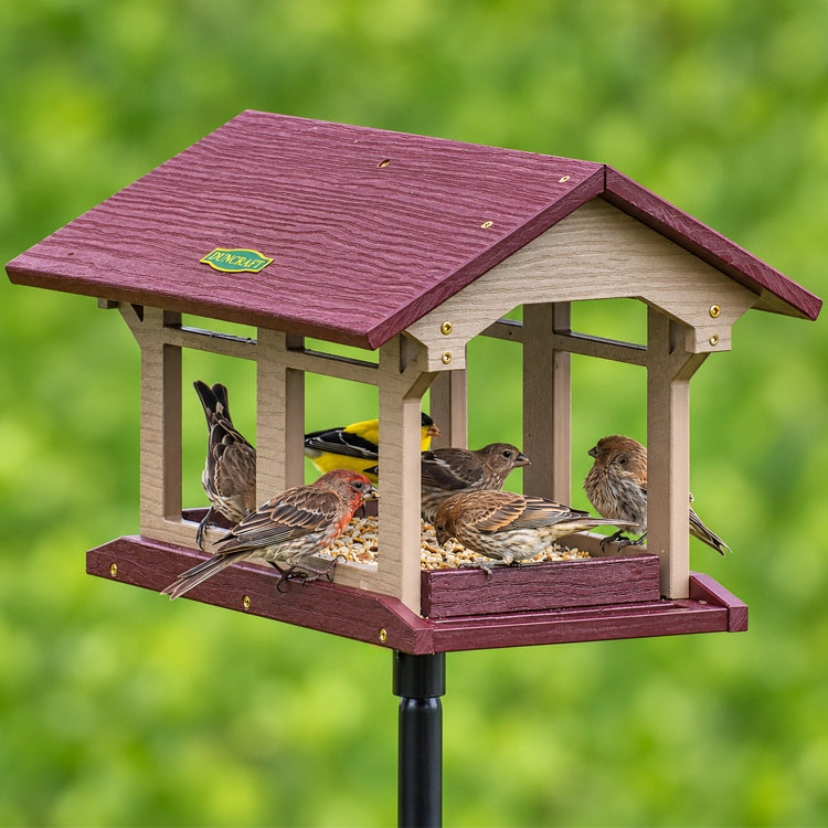 House finches and a goldfinch gathered around the seed tray of a burgundy and taupe Duncraft platform feeder.