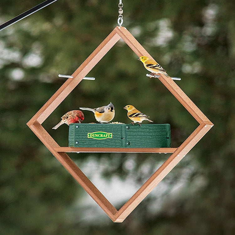 Duncraft Hexagon Hanging Twirl Platform Feeder with birds on metal perches and seed tray, featuring mesh drainage and recycled material.