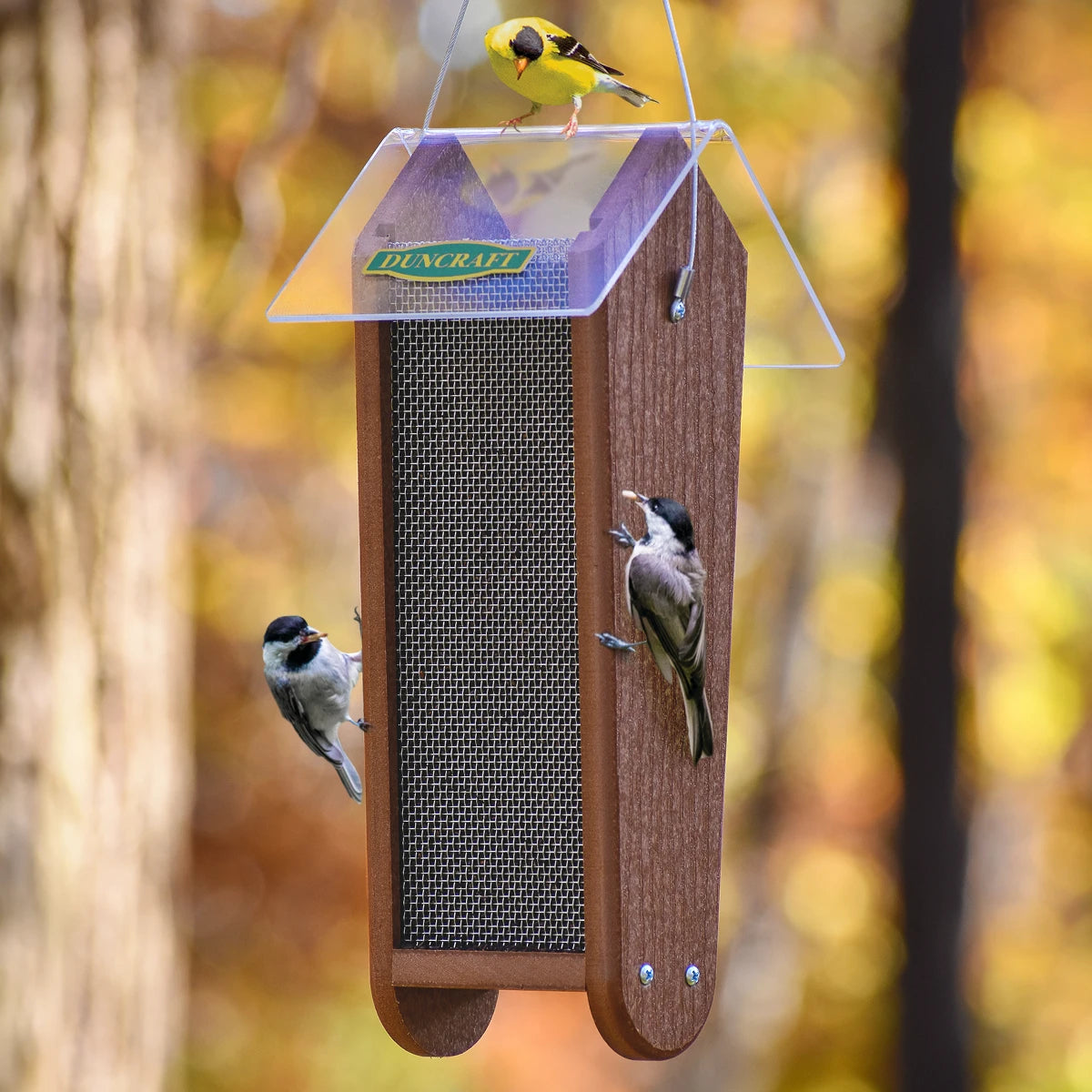 Duncraft Garden Nyjer® Feeder with metal-mesh seed chamber and clear roof, hosting three songbirds. Ideal for small birds to cling and feed on both sides.