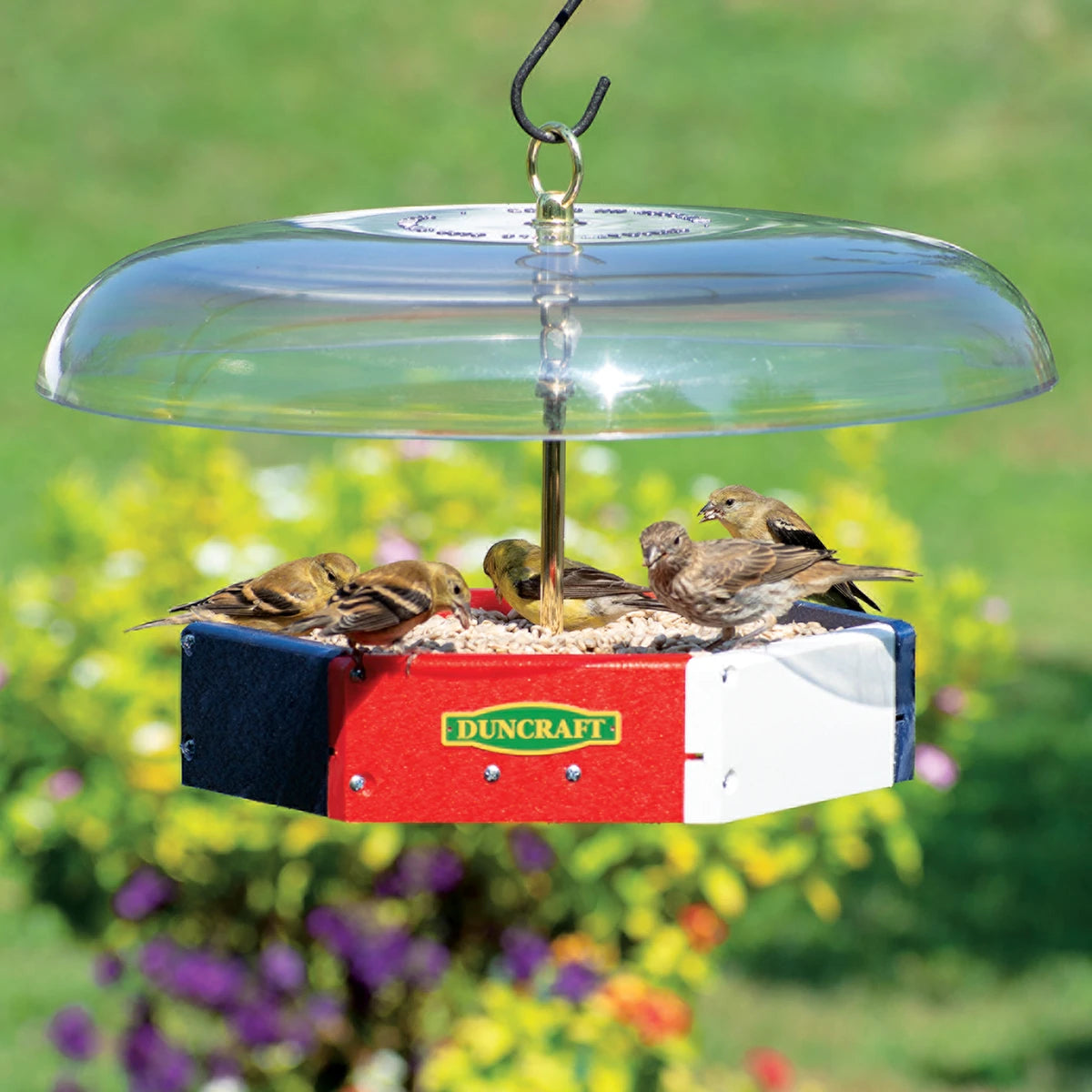 Duncraft Patriot Flight Deck Tilt-Top Feeder with clear dome, stocked with seed, attracting finches, features anti-squirrel tilt baffle and metal mesh drainage.