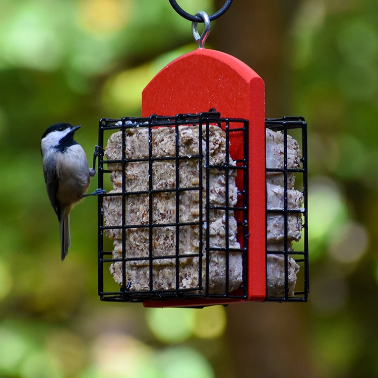 Duncraft Double Suet Feeder with red frame and black wire, featuring a chickadee perched on one side, outdoors with blurred greenery in the background.