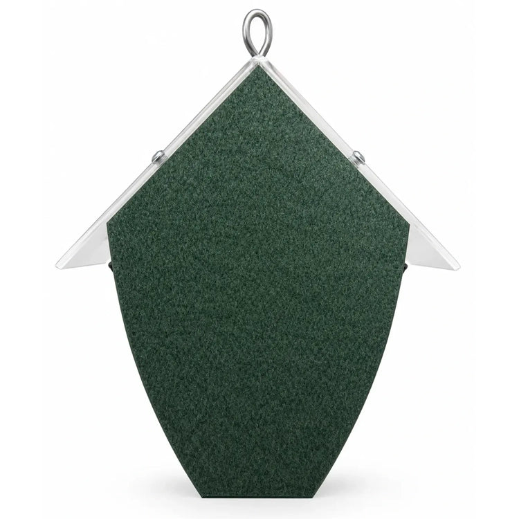 Rear view of the suet feeder showing its solid green backing, tapered base, clear roof, and hanging loop.