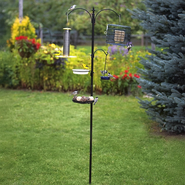 Premium Feeding Station with birds perched on it, featuring a mesh tray and water dish, designed to attract birds with adjustable and stationary arms.
