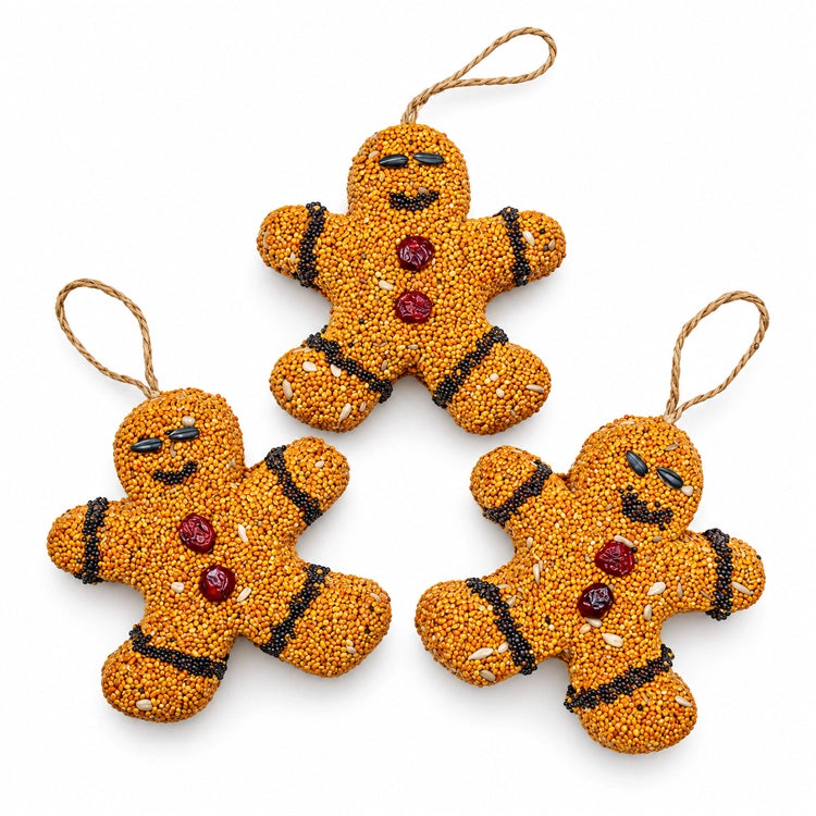 Gingerbread Men Bird Seed Treats, set of 3, featuring close-up of three gingerbread men-shaped ornaments made of edible bird seed with natural jute hangers.