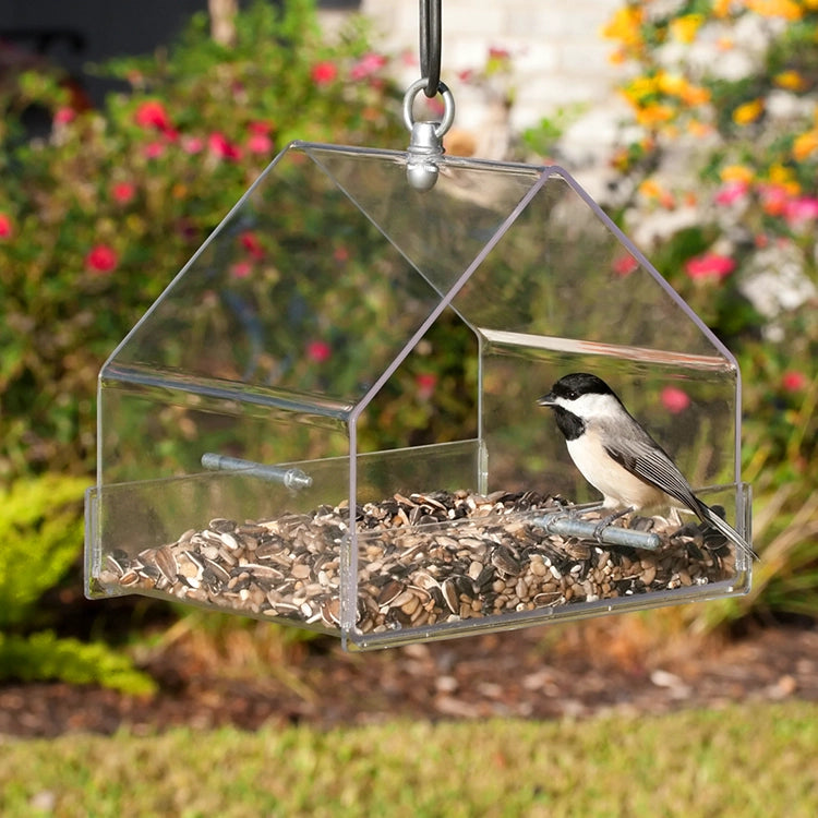 Duncraft Hanging Chalet bird feeder showing a bird perched inside. Clear plastic design for unobstructed viewing, with two perches and ample space for various bird foods.