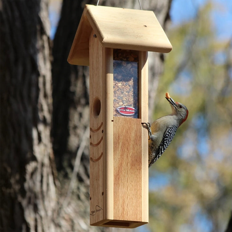 Red-bellied woodpecker feeding from a hanging cedar mealworm feeder filled with dried mealworms.