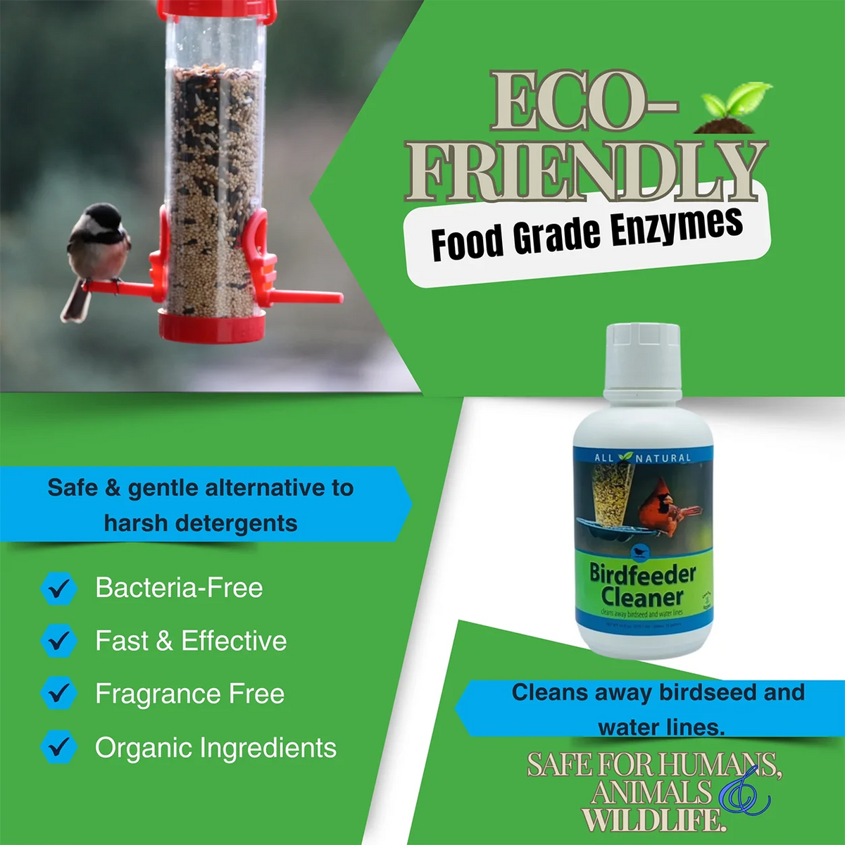 Bird Feeder Cleaner 16 oz. bottle beside a songbird on a red feeder; promotes eco-friendly, non-toxic cleaning with natural enzymes for safe, hygienic bird feeding.