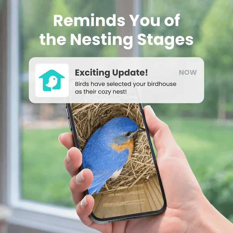 Hand holding a smartphone with a birdhouse and bluebird image, overlaid with text about nesting stages.