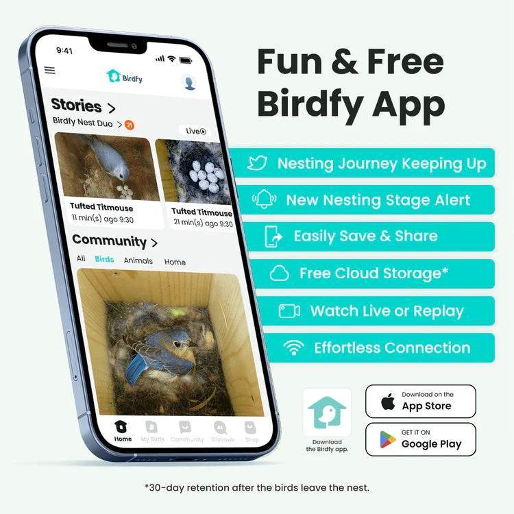Phone displaying the Birdfy app with features listed on a white background