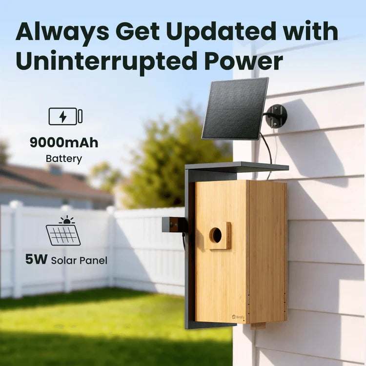 Wooden birdhouse with solar panel on a house exterior, promoting uninterrupted power.
