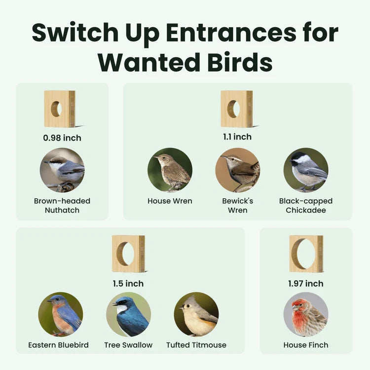 Chart showing different bird species and their corresponding entrance sizes for birdhouses.