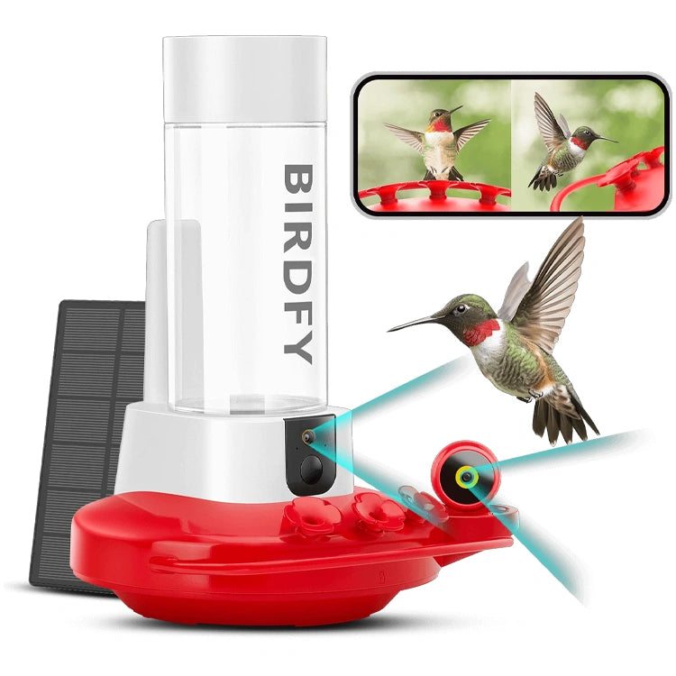 Hummingbird feeder with solar panel and smartphone app interface, featuring the brand 'BIRDFY'.
