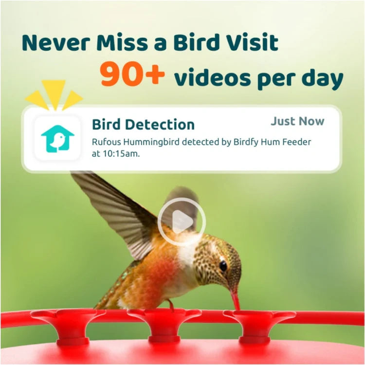 Hummingbird at a red feeder with bird detection notification on a green background