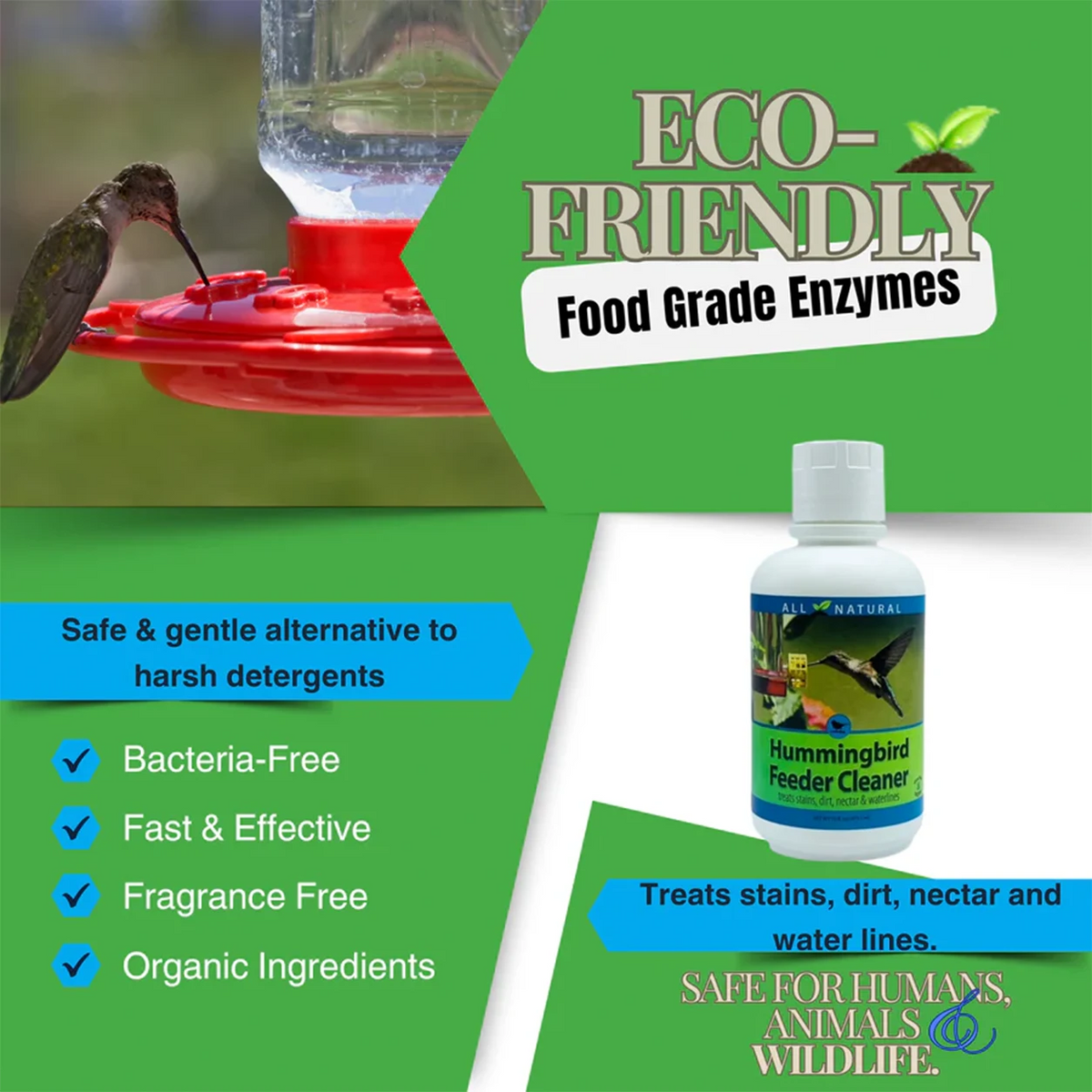 Hummingbird Feeder Cleaner, 16 oz., features eco-friendly enzymes, safe for wildlife, tackling stains and scum in feeders effectively, ensuring bacteria-free, residue-free cleaning.