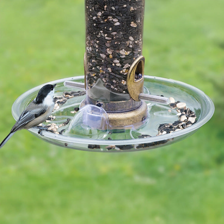 Aspects 10 Quick Clean Seed Tray attached to a bird feeder, with a bird perched on it, effectively catching scattered seeds.