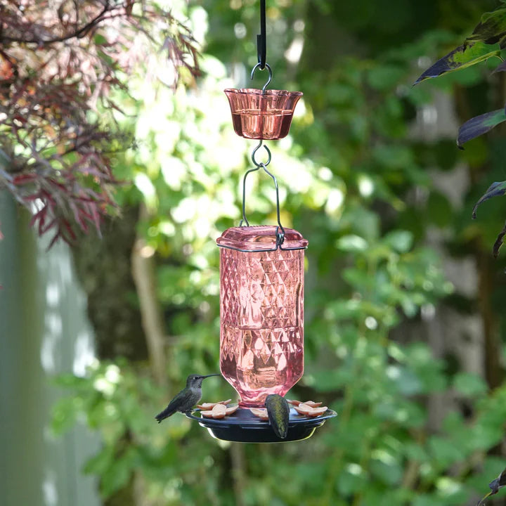 Antique-style pink glass hummingbird feeder suspended in a garden setting, showcasing the decorative column design and integrated ant moat.