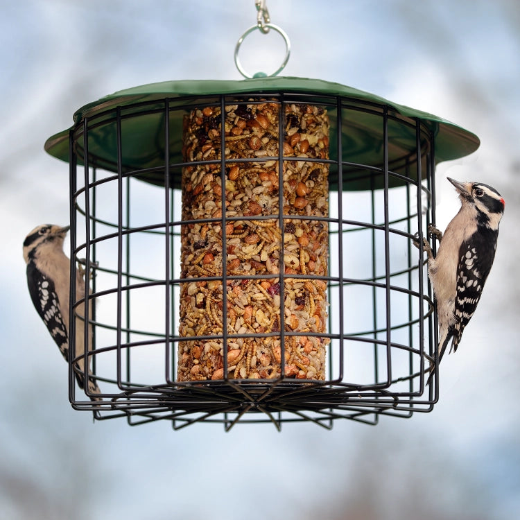 Squirrel Defeater Seed Log Bird Feeder with metal cage and green roof, housing a seed cylinder. Two woodpeckers feed, demonstrating its bird-friendly design.