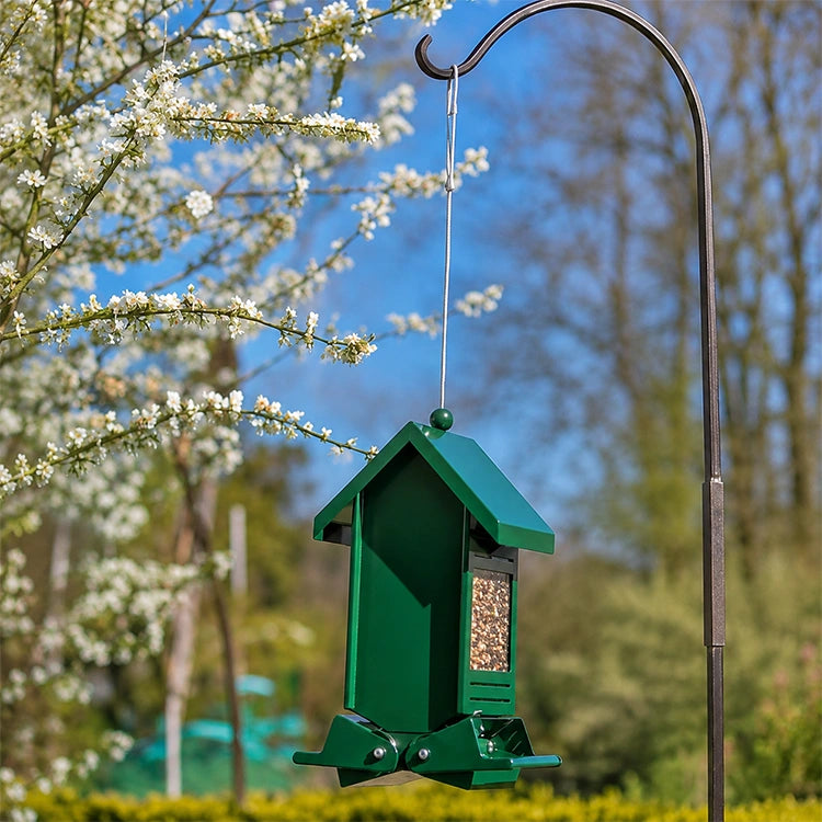 Green metal bird feeder hanging from a shepherd's hook in a flowering garden with seed visible through the side window.