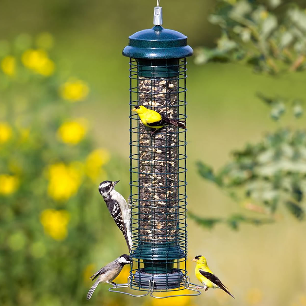 Brome Squirrel Solutions 150 Tube Bird Feeder with mixed seeds, surrounded by goldfinches, a downy woodpecker, and a chickadee, hanging in a garden setting.