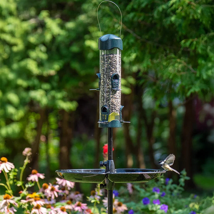Brome Mega 600 Podium Kit with bird feeder and pole in an outdoor setting, showcasing feeder ports and seed tray, attracting a bird.