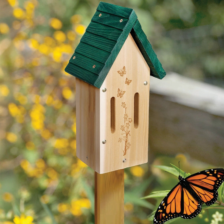 Butterfly House