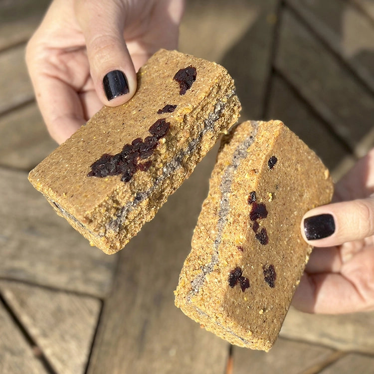 Energy+ Suet Cakes with Cranberry Filling, 12 Cakes: Coarse oat-nut exterior, chia-seed filling, topped with dried cranberries, ideal for year-round bird feeding.
