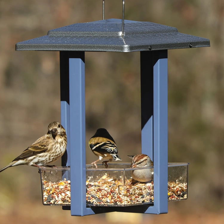 Nature's Way Fly-in Hanging Metal Fly Through Bird Feeder with three songbirds feeding on mixed seeds from the clear tray below the blue roofed frame.